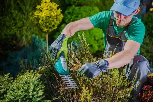 landscaping services West Springfield